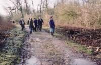  A group of walkers
